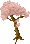 Cherry Blossom Tree